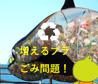 ８割の人が知らない！プラごみ世界２位の日本