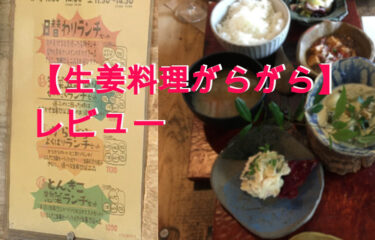 【新百合ヶ丘ランチ★レビュー】健康パワーみなぎる【生姜料理 がらがら】は行列ができる人気店！