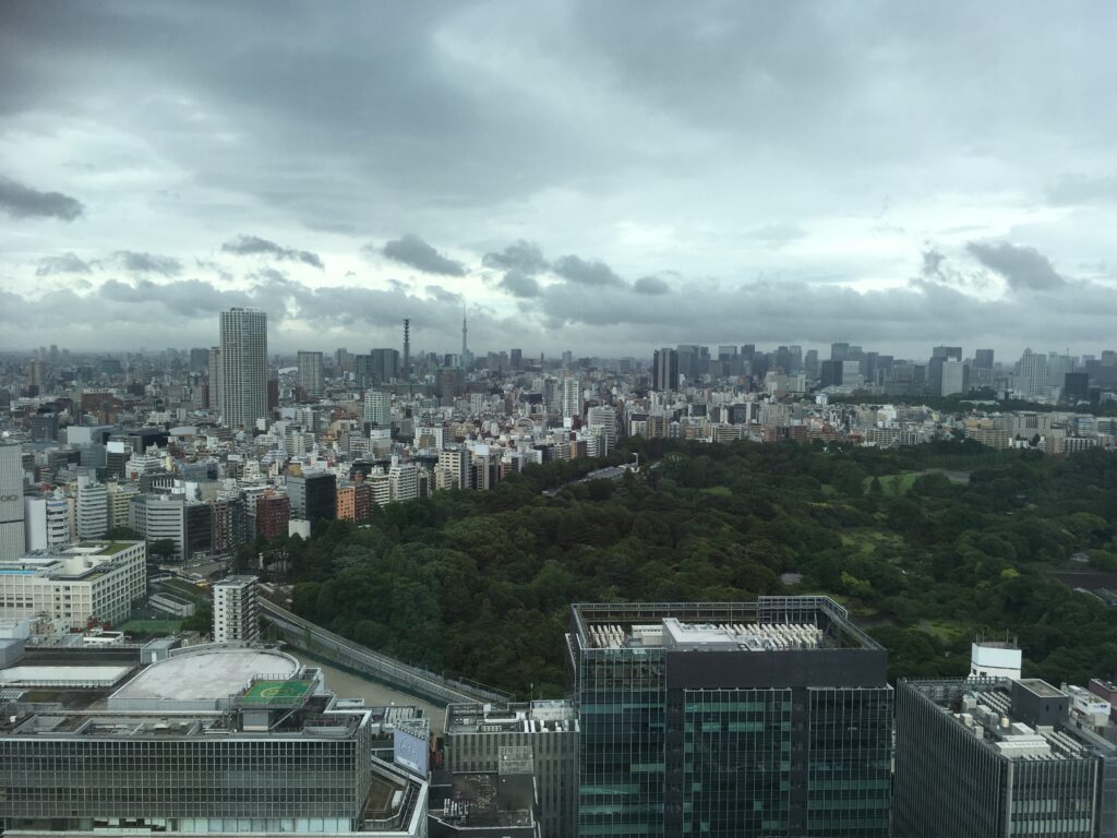 view
