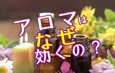 気分転換、疲れ、トラブルの解消にアロマテラピーが効く理由