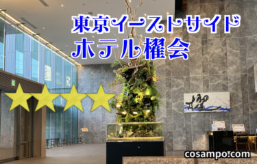【穴場ホテル】ディズニーランド・湾岸エリア観光にオススメ♪【東京イーストサイド ホテル櫂会】に宿泊しました！