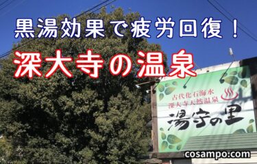 すっごい黒湯♨️【深大寺の天然温泉】の湯治効果は？【湯守の里】に行きました♪