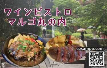 丸の内で１６００円ランチ🥗おしゃれな【ワインビストロ】MARGO（マルゴ）に行ってきました♪