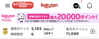 楽天ペイへ交換完了のサイト確認