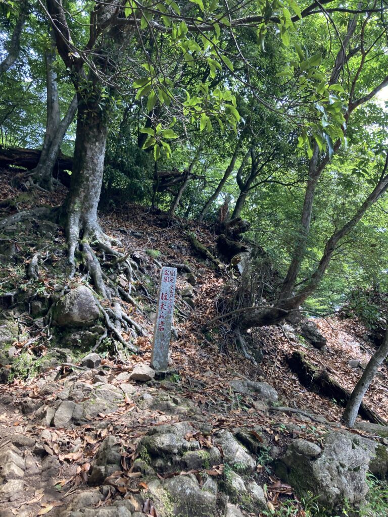 １４丁目　ぼたん岩