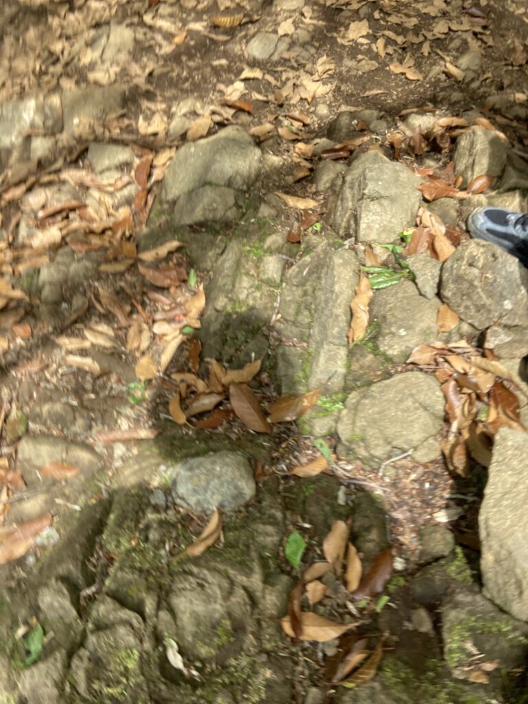 岩だらけの山道