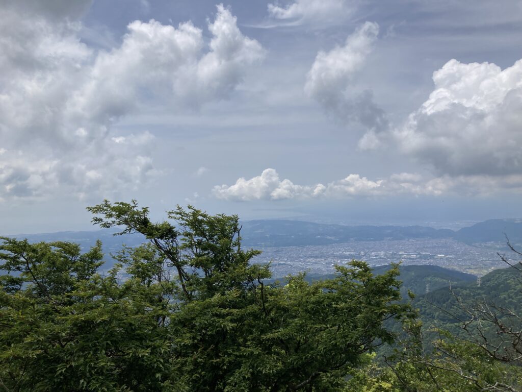 奥の方に見える相模湾に浮かぶ伊豆大島
