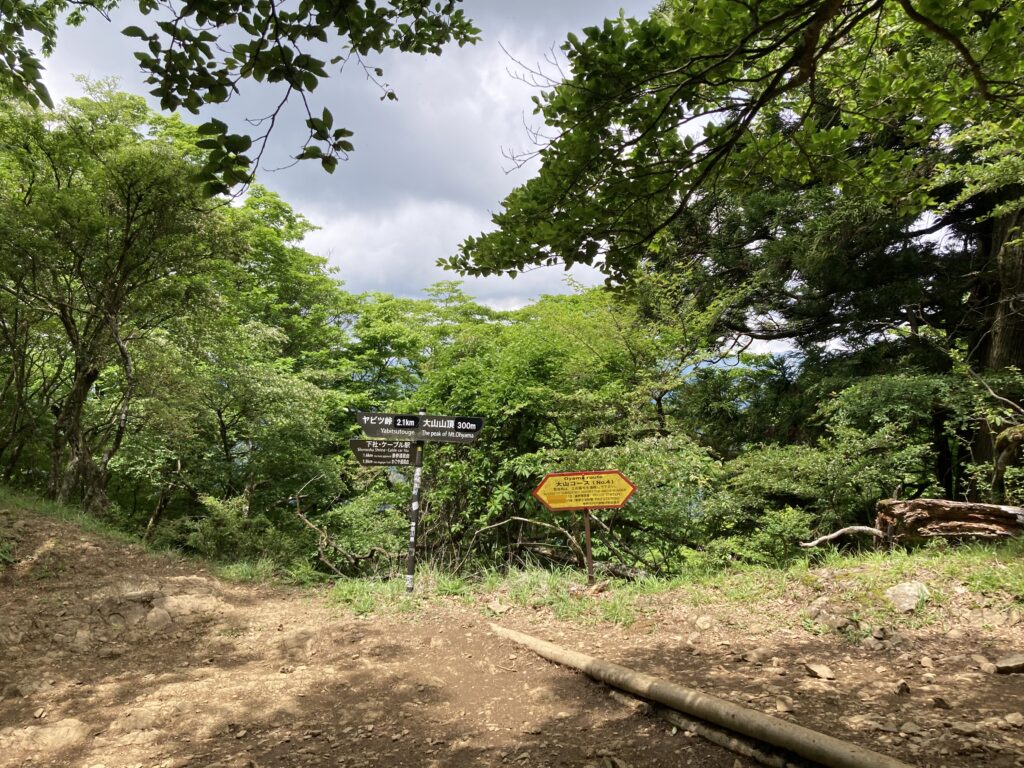 ２５丁目ヤビツ峠分岐地点の道標