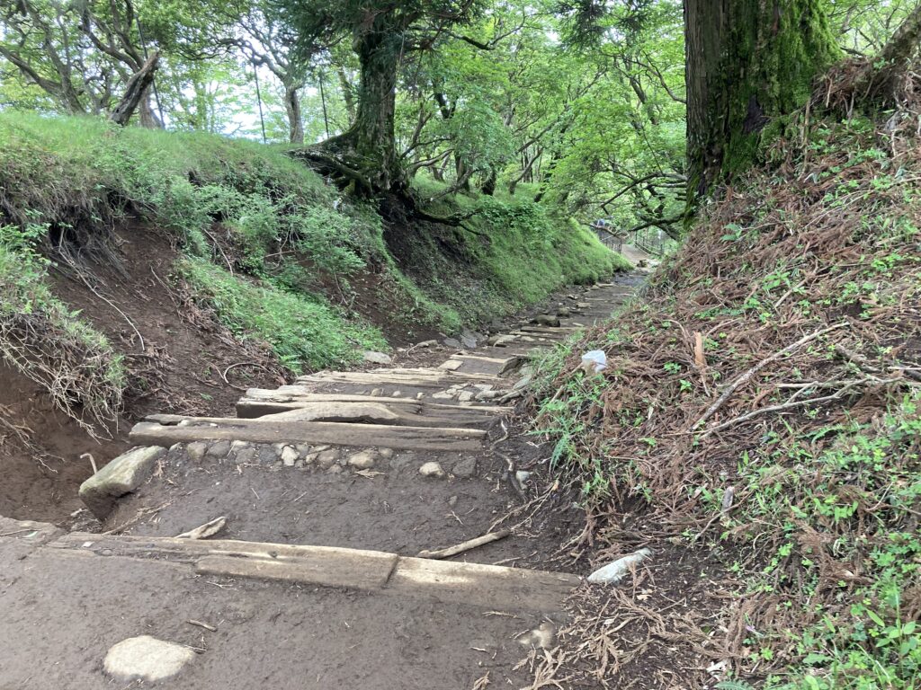 ２８丁目付近の山道