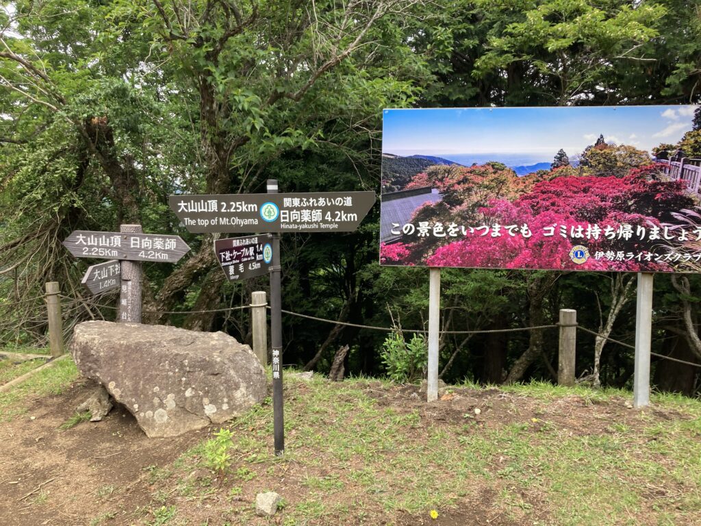 分岐点