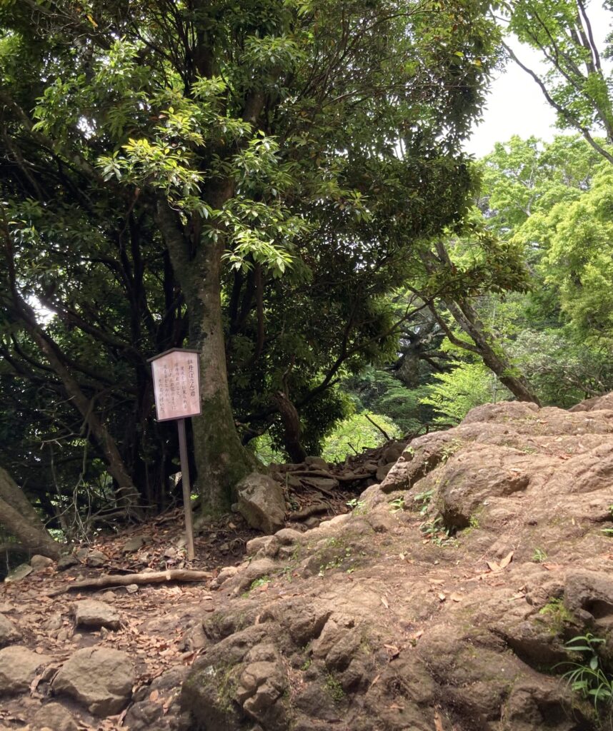 ぼたん岩