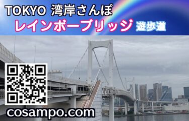 湾岸さんぽレインボーブリッジ遊歩道サムネ